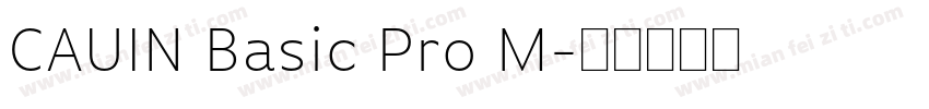 CAUIN Basic Pro M字体转换